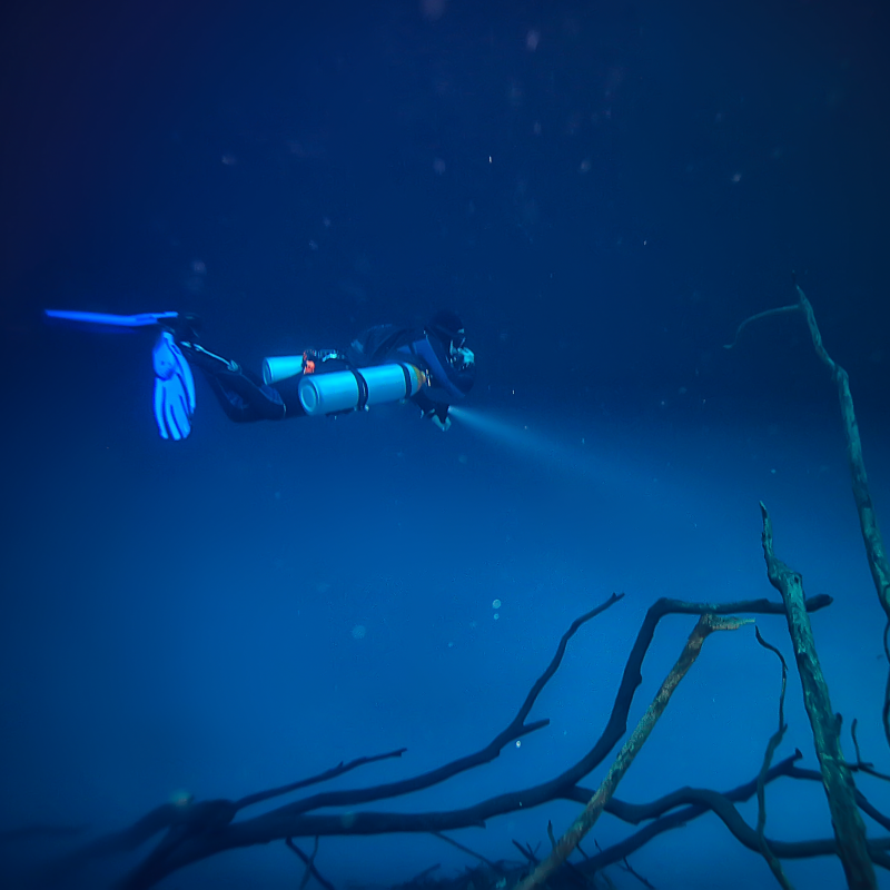 Abgetaucht in eine andere Welt Abgetaucht in die Unterwasserwelt